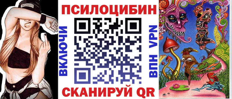 Купить где  Кодинск  Галлюциногенные грибы мицелий 